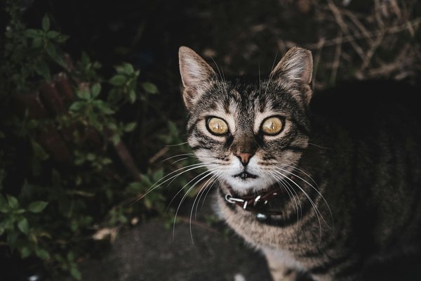 Las palas de pádel babolat que potenciarán tu juego
